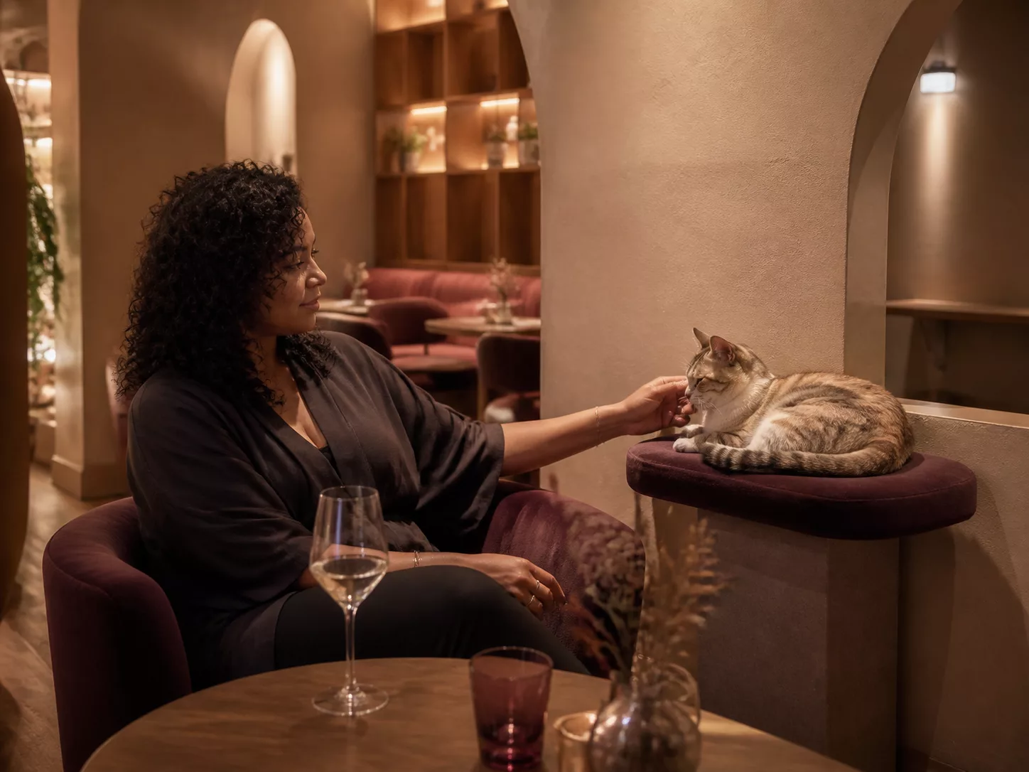 Guest calmly greeting a resident cat